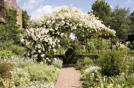 In Basket: July 2012 Image